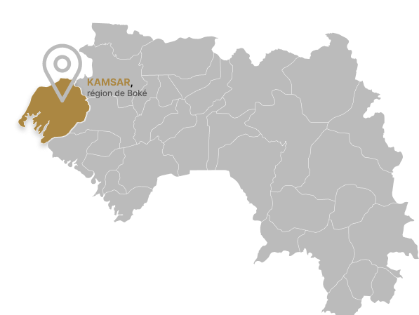 imgKamsar